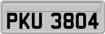 PKU3804