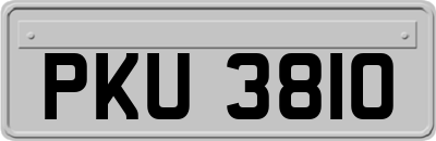 PKU3810