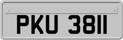 PKU3811