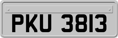 PKU3813