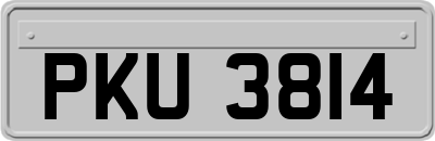 PKU3814