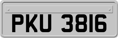PKU3816