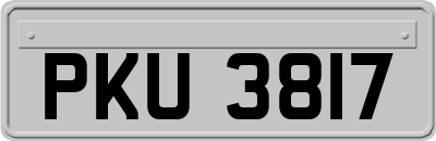 PKU3817