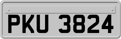 PKU3824