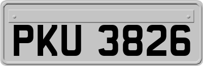 PKU3826
