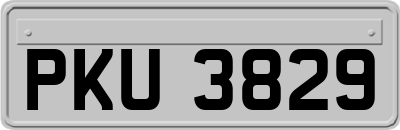 PKU3829