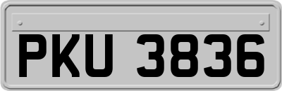 PKU3836