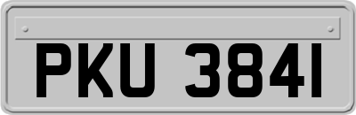 PKU3841