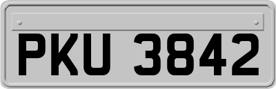 PKU3842