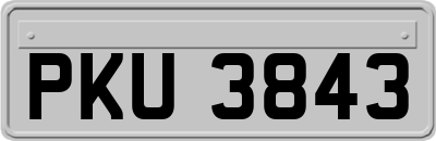 PKU3843