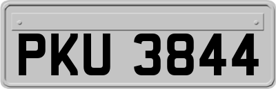 PKU3844