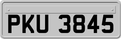 PKU3845