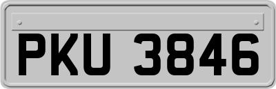 PKU3846
