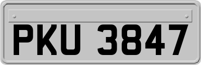 PKU3847