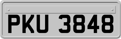 PKU3848