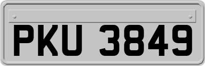 PKU3849