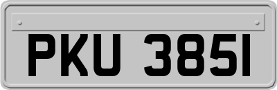 PKU3851
