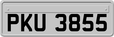PKU3855