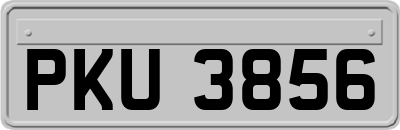 PKU3856