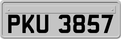 PKU3857