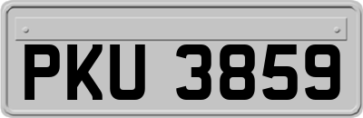 PKU3859