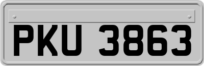 PKU3863