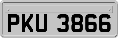PKU3866