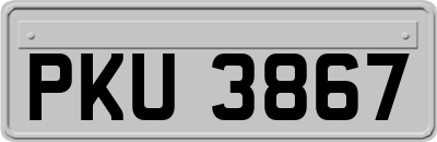 PKU3867
