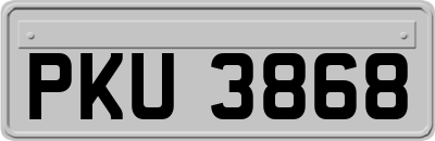 PKU3868