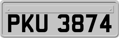 PKU3874