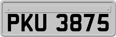 PKU3875