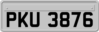 PKU3876