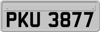 PKU3877