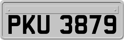 PKU3879