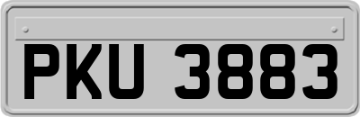 PKU3883