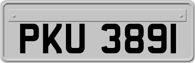 PKU3891