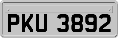 PKU3892
