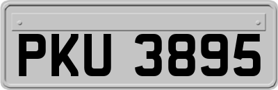 PKU3895
