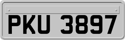 PKU3897