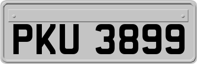 PKU3899