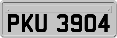 PKU3904