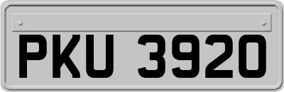PKU3920