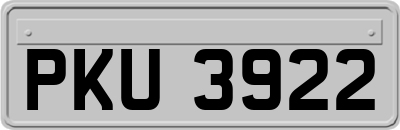 PKU3922