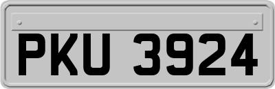 PKU3924
