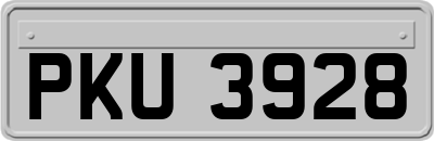 PKU3928