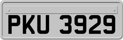 PKU3929
