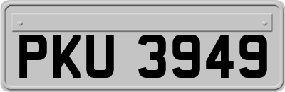 PKU3949