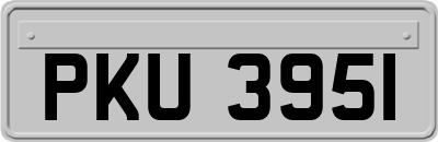 PKU3951