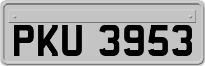 PKU3953