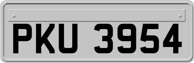 PKU3954